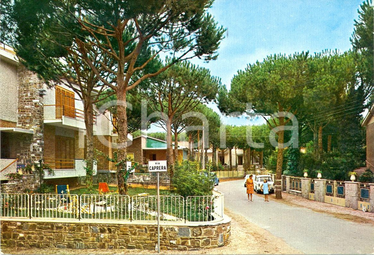 1967 MARINA DI GROSSETO La Pineta Scorcio da Via CAPRERA Cartolina VINTAGE FG VG