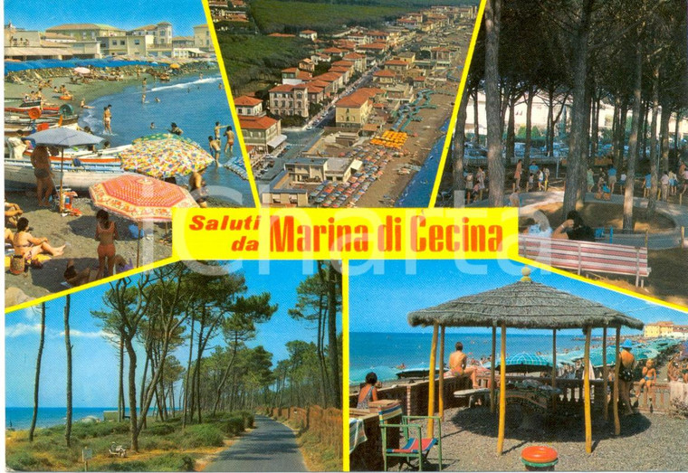 1981 MARINA DI CECINA (LI) Vedutine con spiaggia *Cartolina VINTAGE FG VG