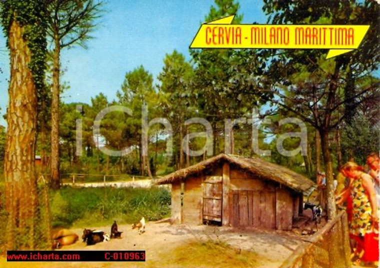 1970 ca CERVIA (RA) MILANO MARITTIMA Parco Naturale *Cartolina ANIMATA FG VG