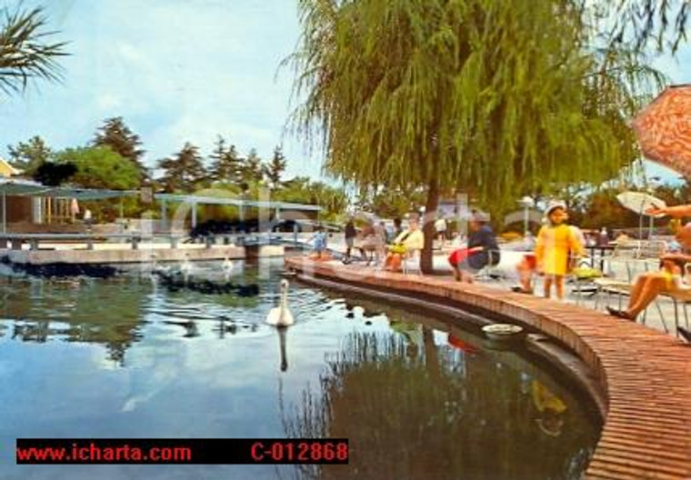 1977 CASTELLAMMARE DI STABIA (NA) Le terme - Lago dei cigni ANIMATA FG VG