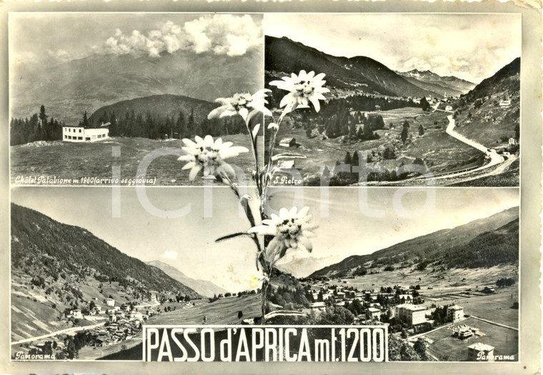 1960 ca PASSO D'APRICA  (SO) Vedutine panoramiche  *Cartolina postale FG VG