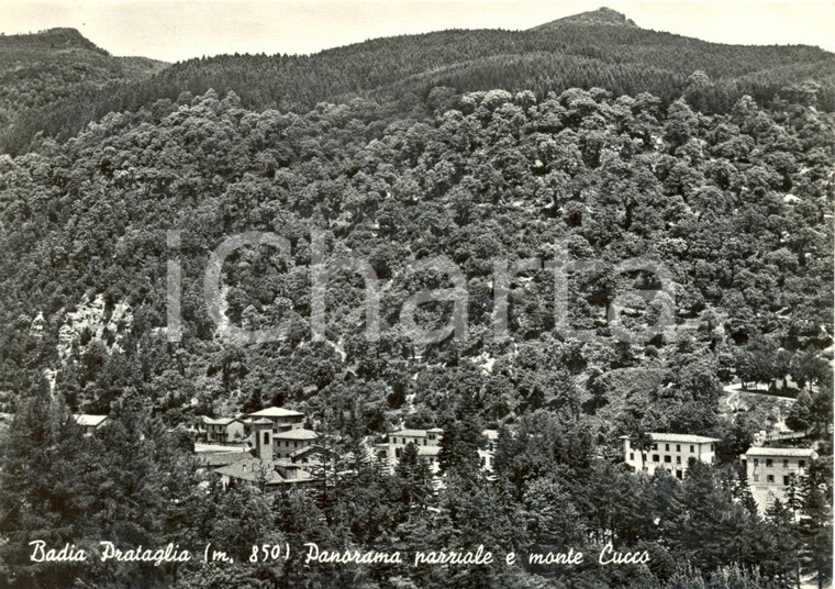 1956 BADIA PRATAGLIA (AR) Panorama e monte CUCCO *Cartolina postale FG VG
