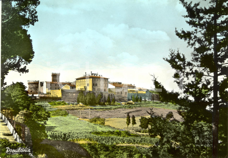 1960 ca POPULONIA (LI) Panorama della cittadina * Cartolina FG NV