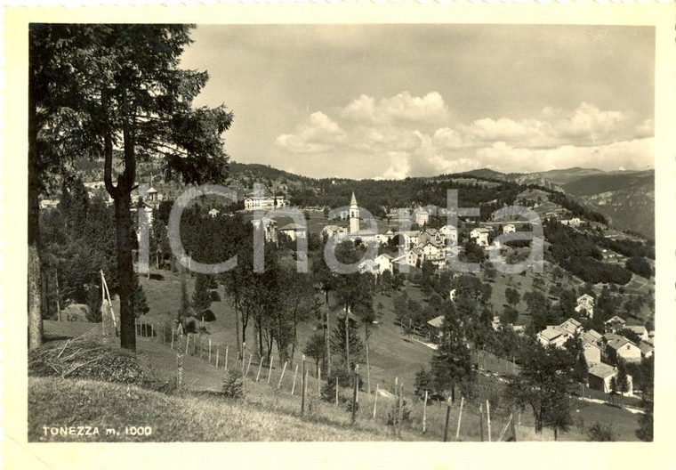 1951 TONEZZA DEL CIMONE (VI) Panorama del paese *Cartolina postale FG VG