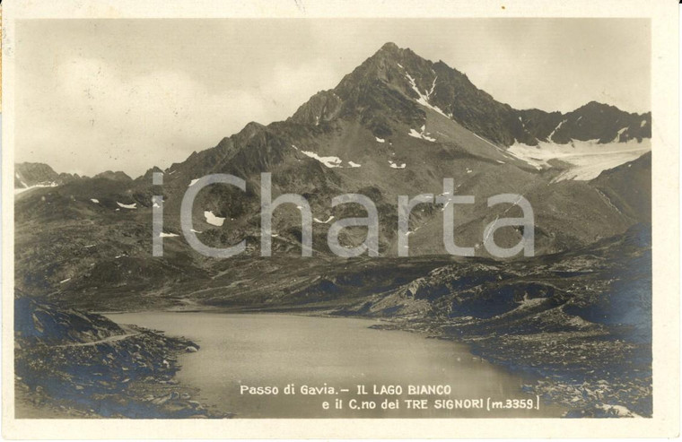 1930 PASSO DI GAVIA (SO) Lago BIANCO e CORNO DEI TRE SIGNORI *Cartolina FP VG
