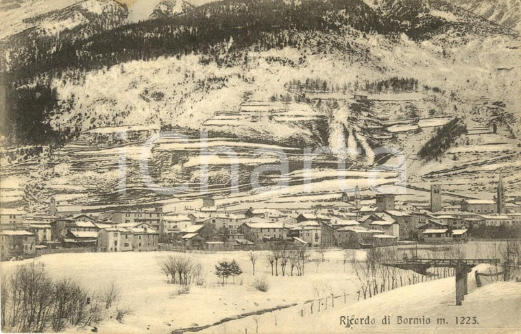 1915 ca BORMIO (SO) Veduta del paese innevato *Cartolina postale FP NV