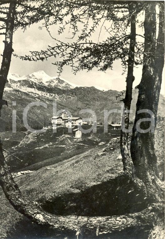 1960 CAMPODOLCINO (SO) Casa alpina di MOTTA e panorama della VALLE SPLUGA *FG VG