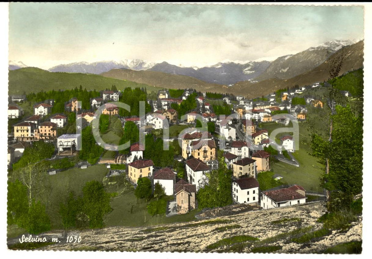 1959 SELVINO (BG) Veduta panoramica del paese *Cartolina postale FG VG