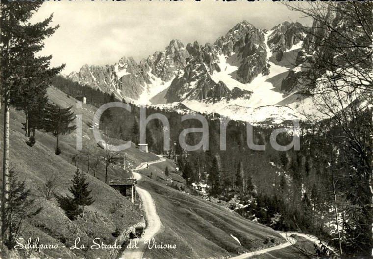1960 ca SCHILPARIO (BG) Strada del VIVIONE e montagne innevate *Cartolina FG NV
