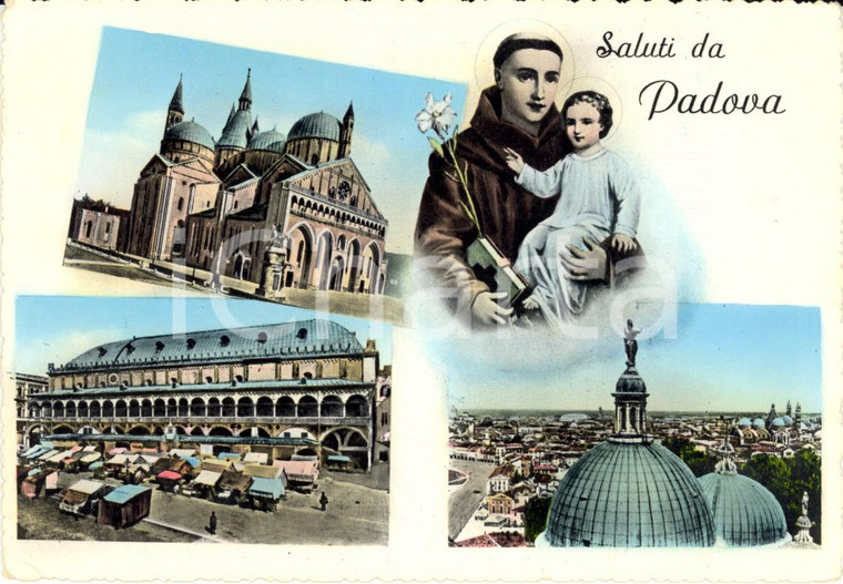 1959 PADOVA Vedutine città con mercato in Piazza delle ERBE *Cartolina FG VG