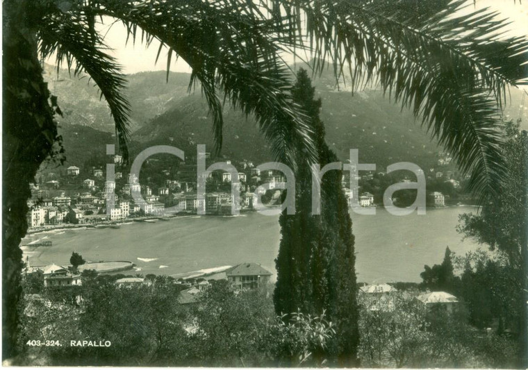 1949 RAPALLO (GE) Panorama della città dai boschi *Cartolina FG VG