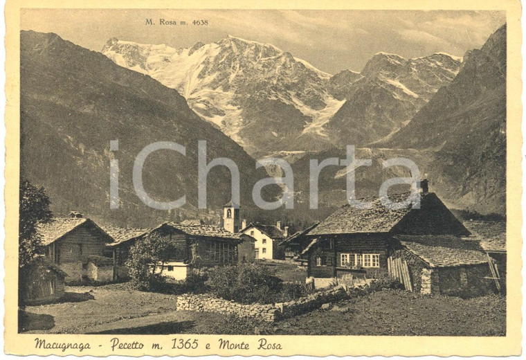 1948 MACUGNAGA (VB) Veduta della frazione PECETTO e Monte ROSA *Cartolina FG VG