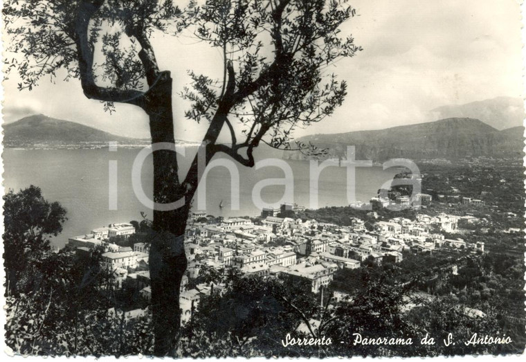 1950 SORRENTO (NA) Panorama da SANT'ANTONIO *Cartolina postale FG VG