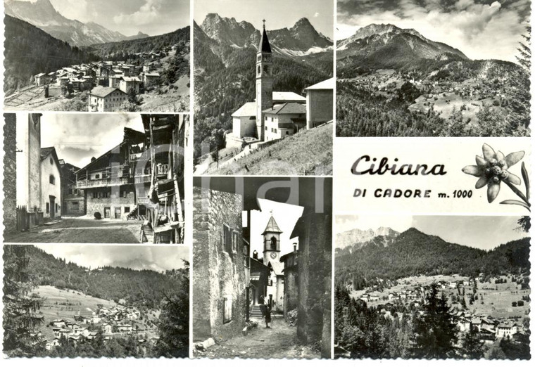 1954 CIBIANA DI CADORE (BL) Vedutine centro storico e catena ALPI *Cartolina