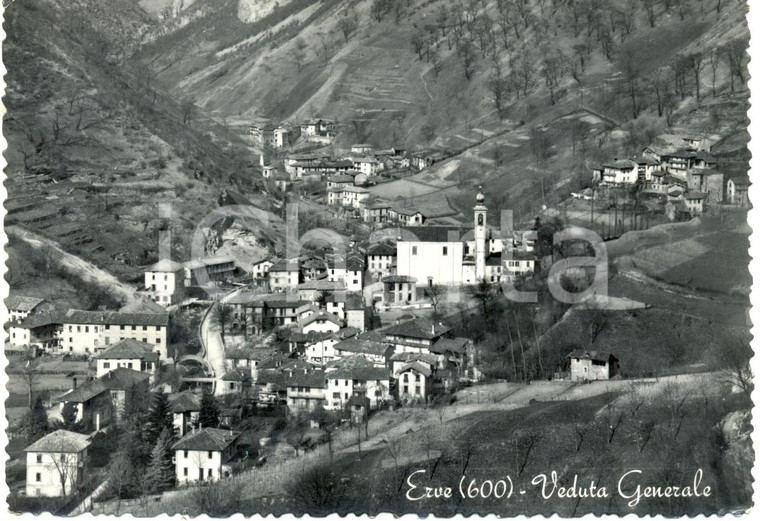 1957 ERVE (LC) Veduta panoramica del paese *Cartolina FG VG