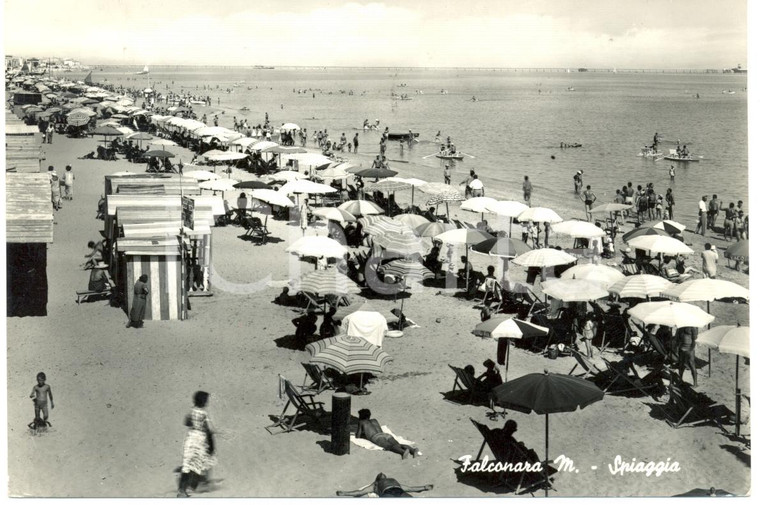 1960 ca FALCONARA MARITTIMA (AN) Bagnanti in spiaggia *Cartolina ANIMATA FG VG