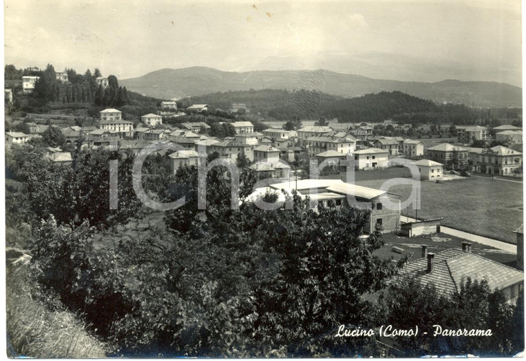 1960 LUCINO (CO) Veduta panoramica del paese *Cartolina FG VG