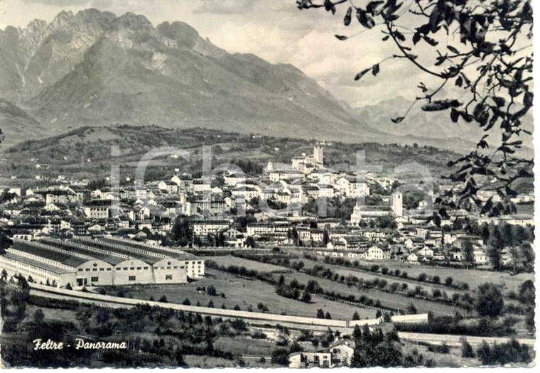 1951 FELTRE (BL) Il Panorama e le Valli FELTRINE *Cartolina FG VG