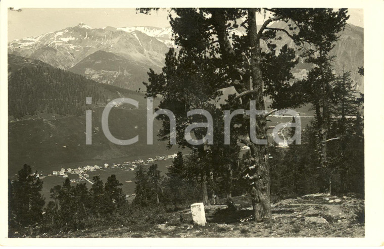 1950 ca LIVIGNO (SO) Veduta panoramica della VAL di LIVIGNO * Cartolina FP NV