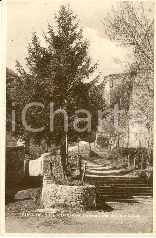1930 ca SUSA (TO) Veduta della passeggiata archeologica *Cartolina postale FP NV