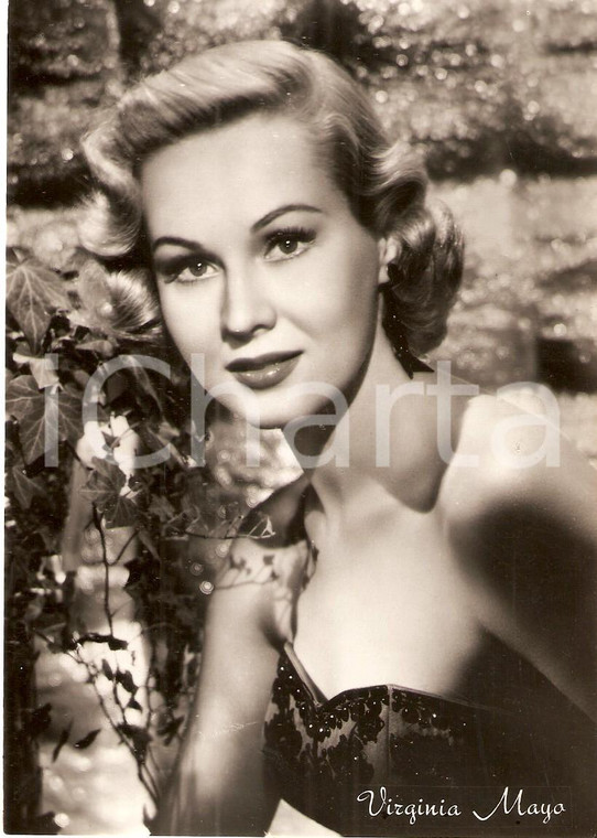 1955 ca CINEMA Actress Virginia MAYO Portrait with ivy *Cartolina FG NV