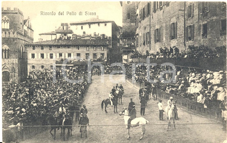 1920 ca SIENA Piazza DEL CAMPO affollata per il PALIO *Cartolina FP NV