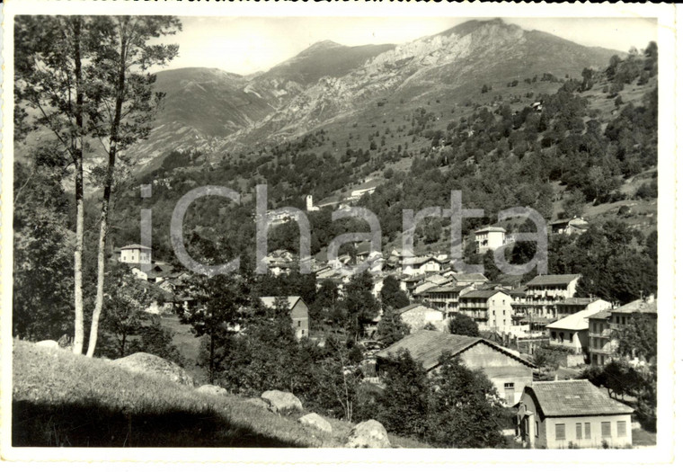 1958 CRISSOLO (CN) Panorama *Cartolina postale FG VG