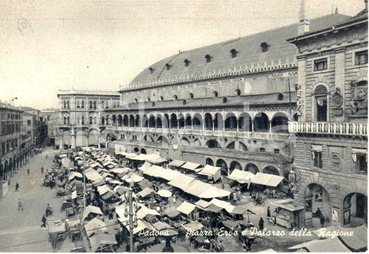 1960 ca PADOVA Piazza Erbe e Palazzo della Ragione *Cartolina animata FG VG