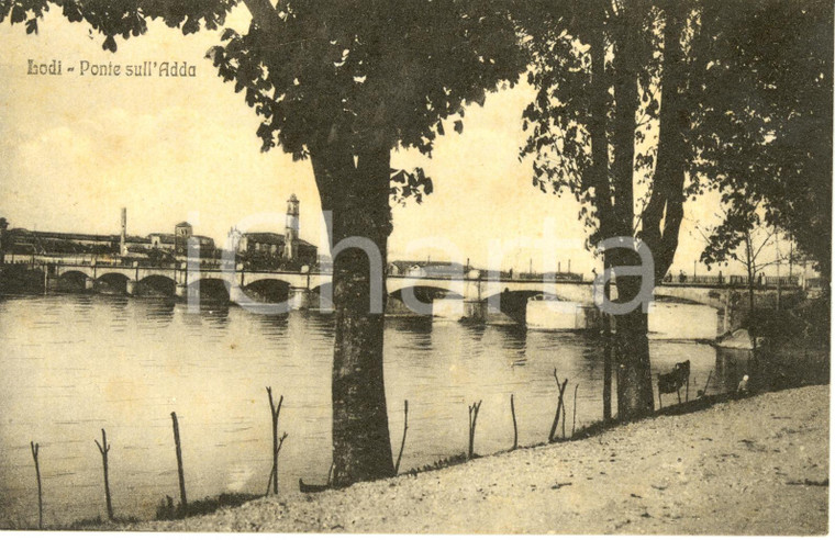 1910 ca LODI Veduta del ponte sul fiume ADDA *Cartolina FP NV