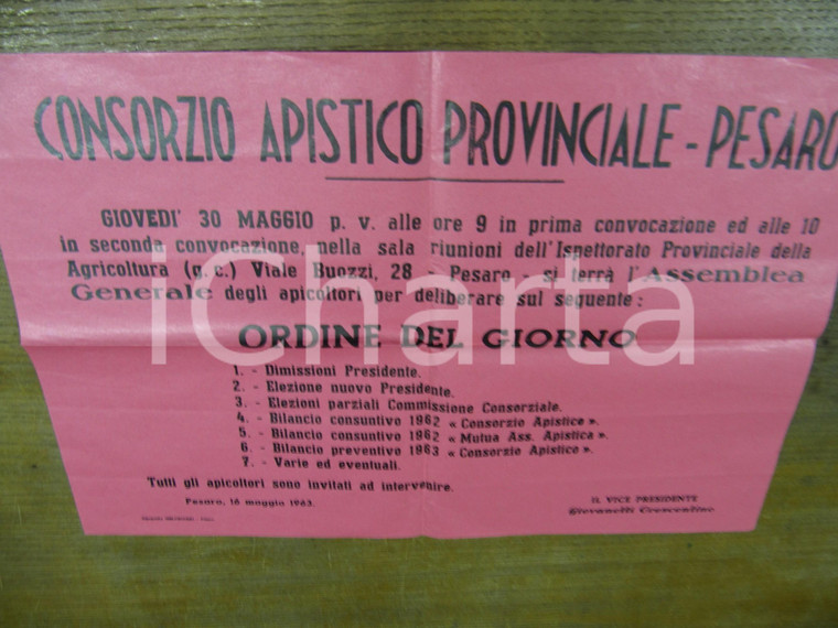 1963 PESARO assemblea CONSORZIO APISTICO PROVINCIALE