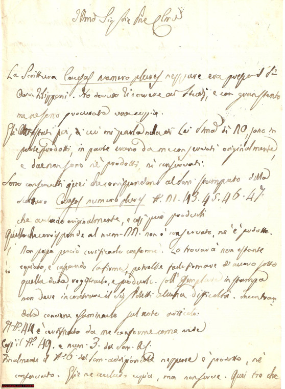 1836 ROMA Difficili ricerche dell'avvocato NATILI
