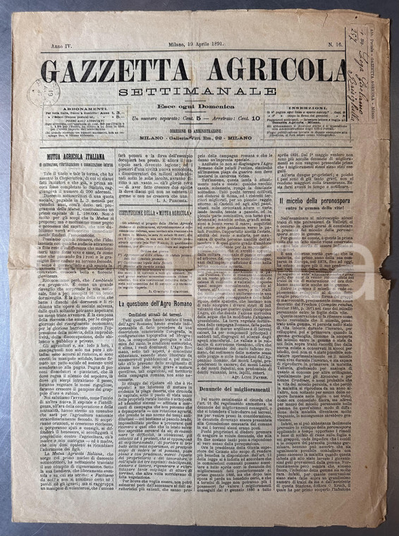 1891 GAZZETTA AGRICOLA Costituzione Mutua Agricola Italiana *Giornale