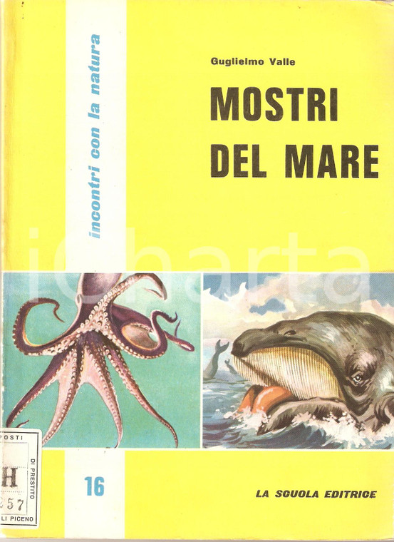 1960 INCONTRI CON LA NATURA 16 Guglielmo VALLE Mostri del mare *Pubblicazione