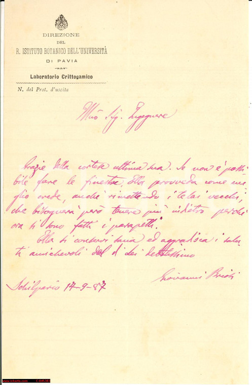 1897 SCHILPARIO (BG) Giovanni BRIOSI lettera AUTOGRAFA