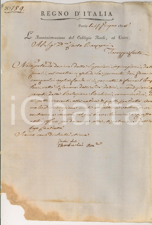 1805 PAVIA Enfiteusi del Collegio GHISLIERI a RACCAGNI