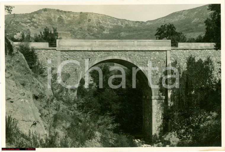 1934 CATANZARO Ponte sul torrente ACQUASANTA fotografia