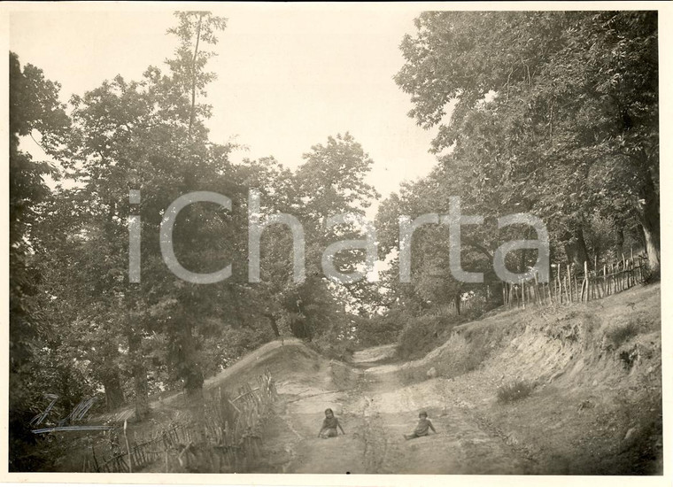 1932 MEDICINA BO Tracciato strada tra boschi FOSSATONE