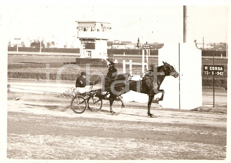 1942 MILANO SAN SIRO Gran Premio d'Europa - L'arrivo *Foto IPPICA