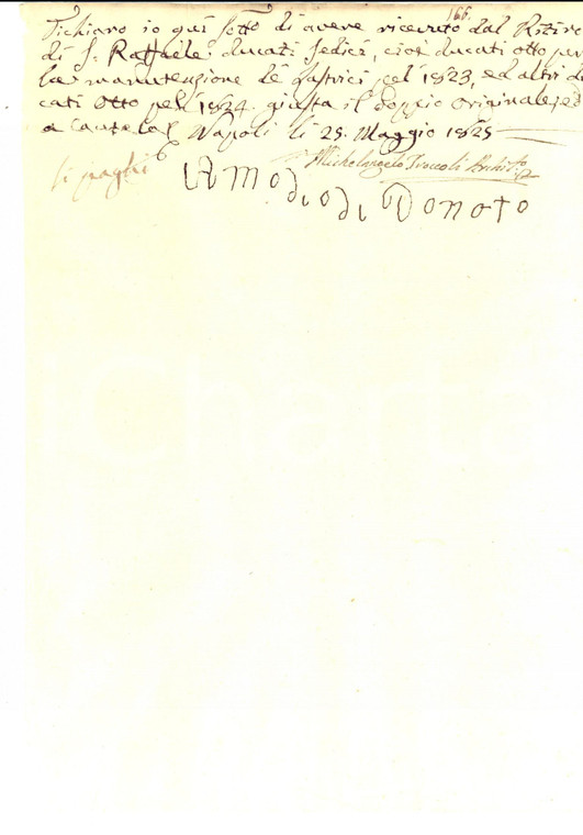 1825 NAPOLI Ricevuta manovale Amodio DI DONATO *Autografo Michelangelo TROCCOLI