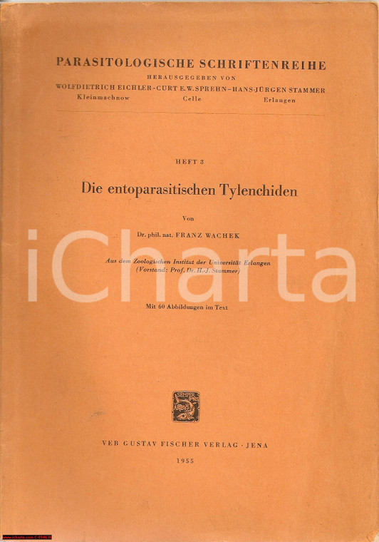 1955 WECHAK Entoparasitischen TYLENCHIDEN illustrato