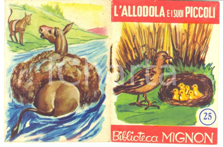 1950 ca Biblioteca MIGNON editore BEA Milano l'allodola e i suoi piccoli fiaba