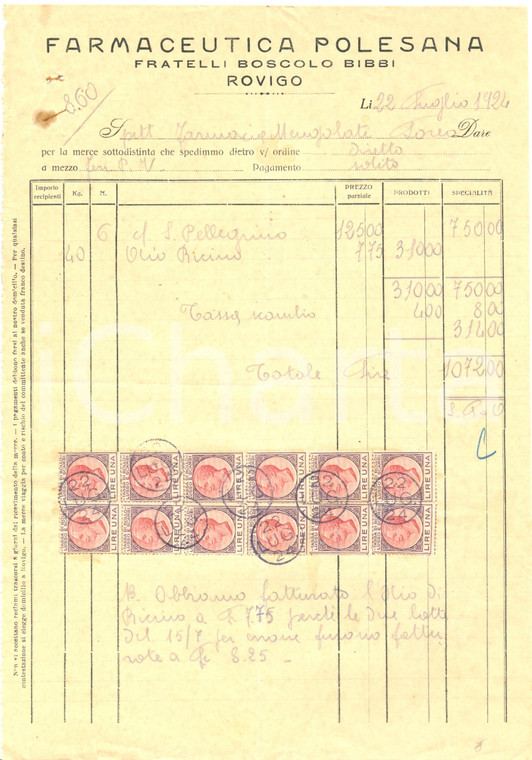 1924 ROVIGO Fratelli BOSCOLO BIBBI farmaceutica polesana *Fattura commerciale