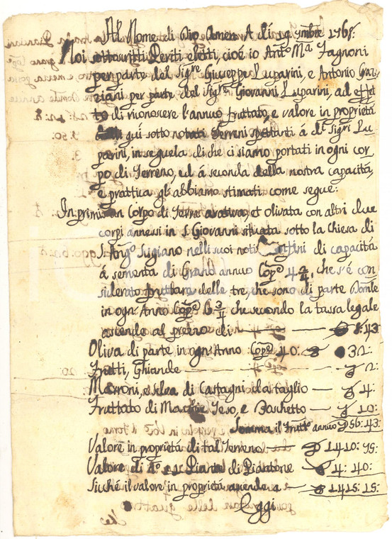 1768 SANT'ANGELO IN MERCOLE  PG Stima oliveto LUPARINI