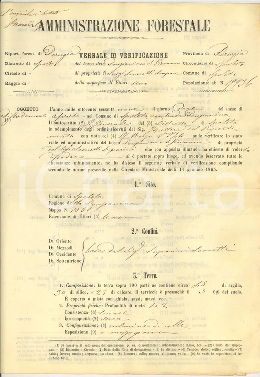 1869 SPOLETO (PG) Ispezione nel bosco PONZIANINO abbandonato al pascolo