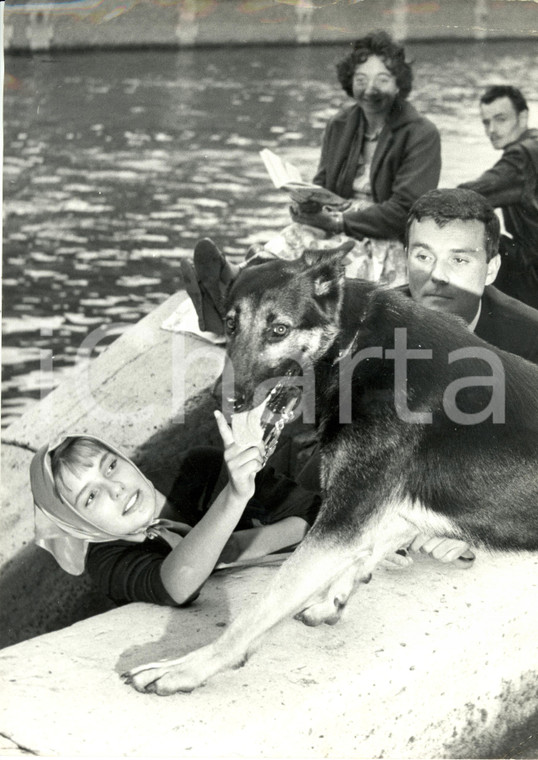 1961 LE PAVE' DE PARIS Danièle GAUBERT Jacques RIBEROLLES con cane Foto di scena