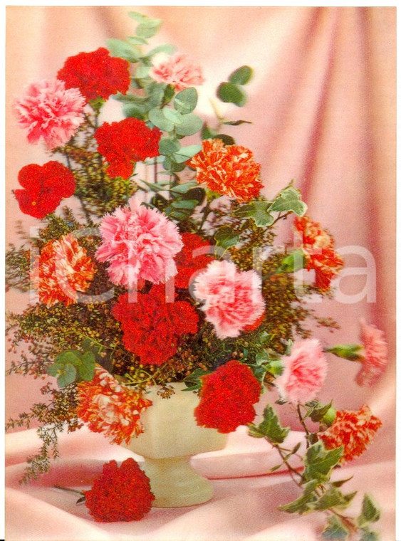 1970 ca OLOGRAFIA Vaso di garofani rossi *Cartolina FG NV