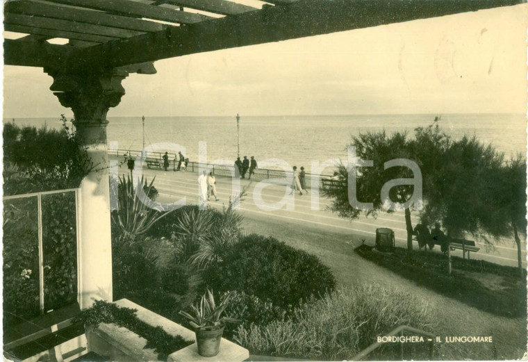 1951 BORDIGHERA (IM) A passeggio sul lungomare *Cartolina FG VG