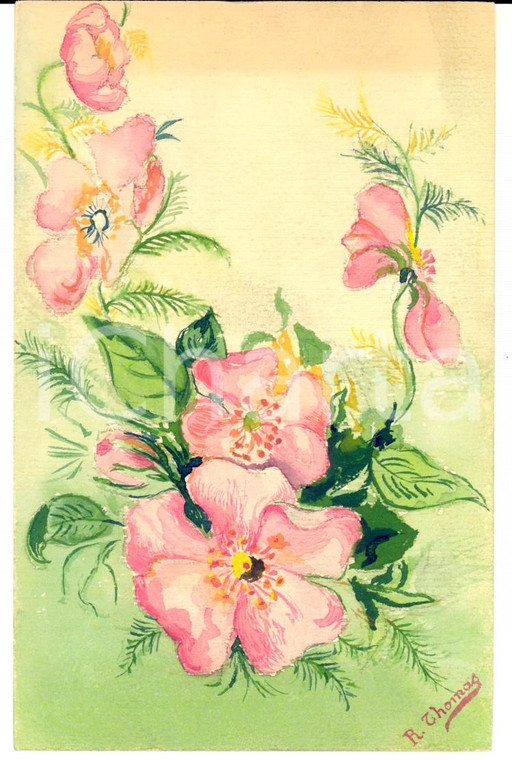 1910 ca FRANCIA Cartolina DIPINTA A MANO con fiori rosa *R. THOMAS