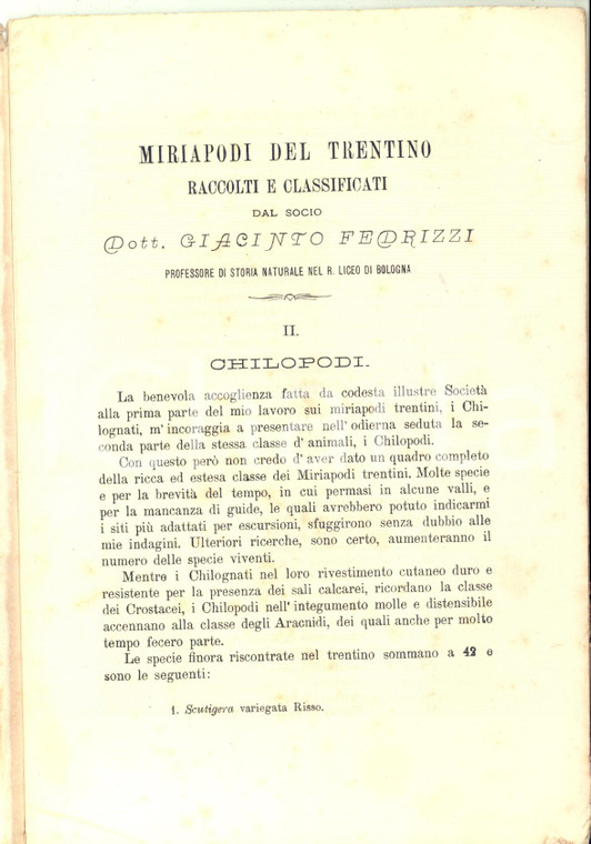 1878 Giacinto FEDRIZZI Miriapodi del Trentino - II. Chilopodi *29 pp.