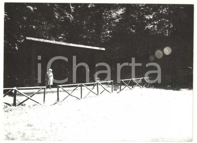 1979 RISERVA NATURALE FORESTA UMBRA (FG) Turista nell'area di sosta - Foto 18x13